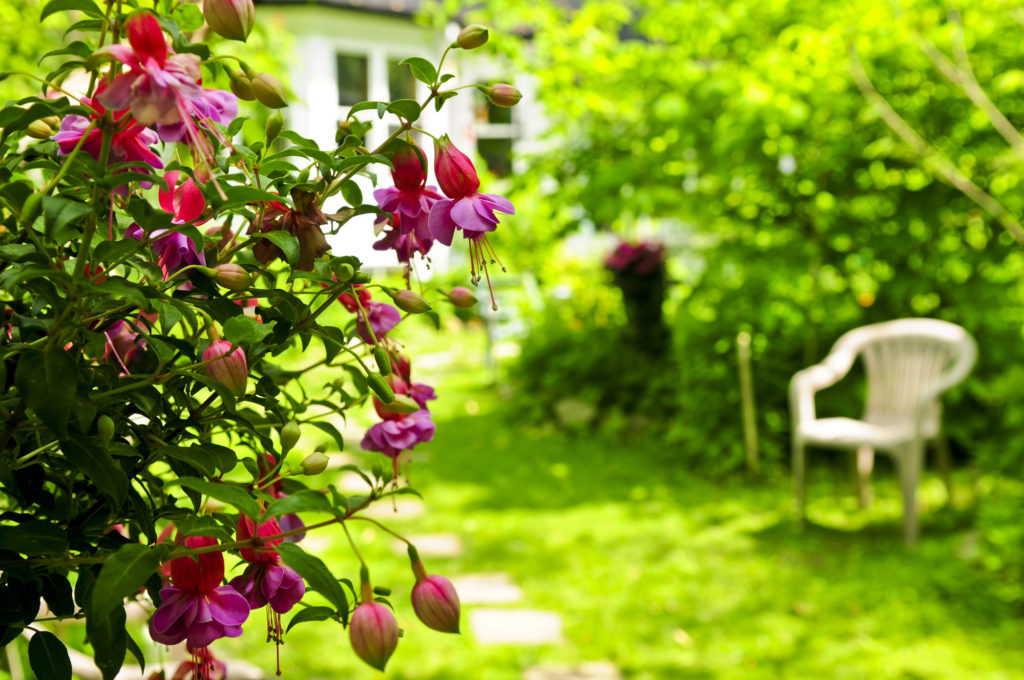 How To Make Concrete Backyard Look Nice